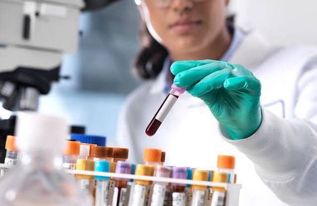 images - 2024-11-23T192926.127